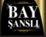 baysansli logo